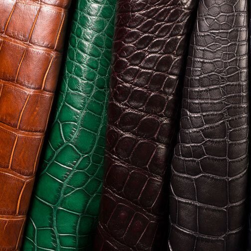 Crocodile